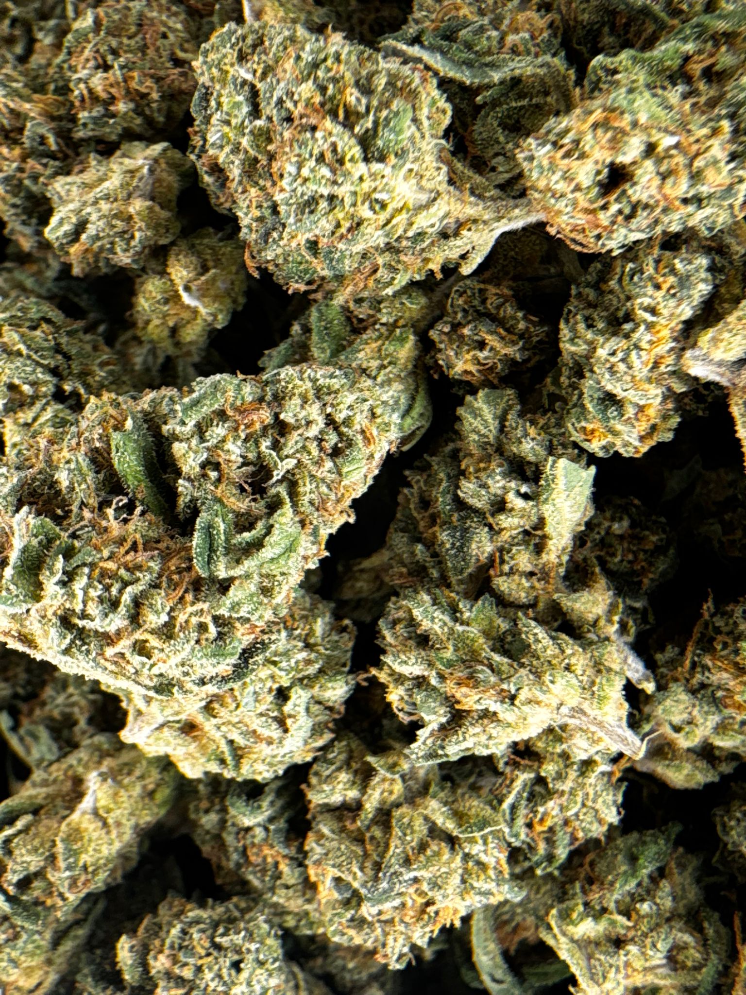 Flor mini buds indoor - Imagen 3