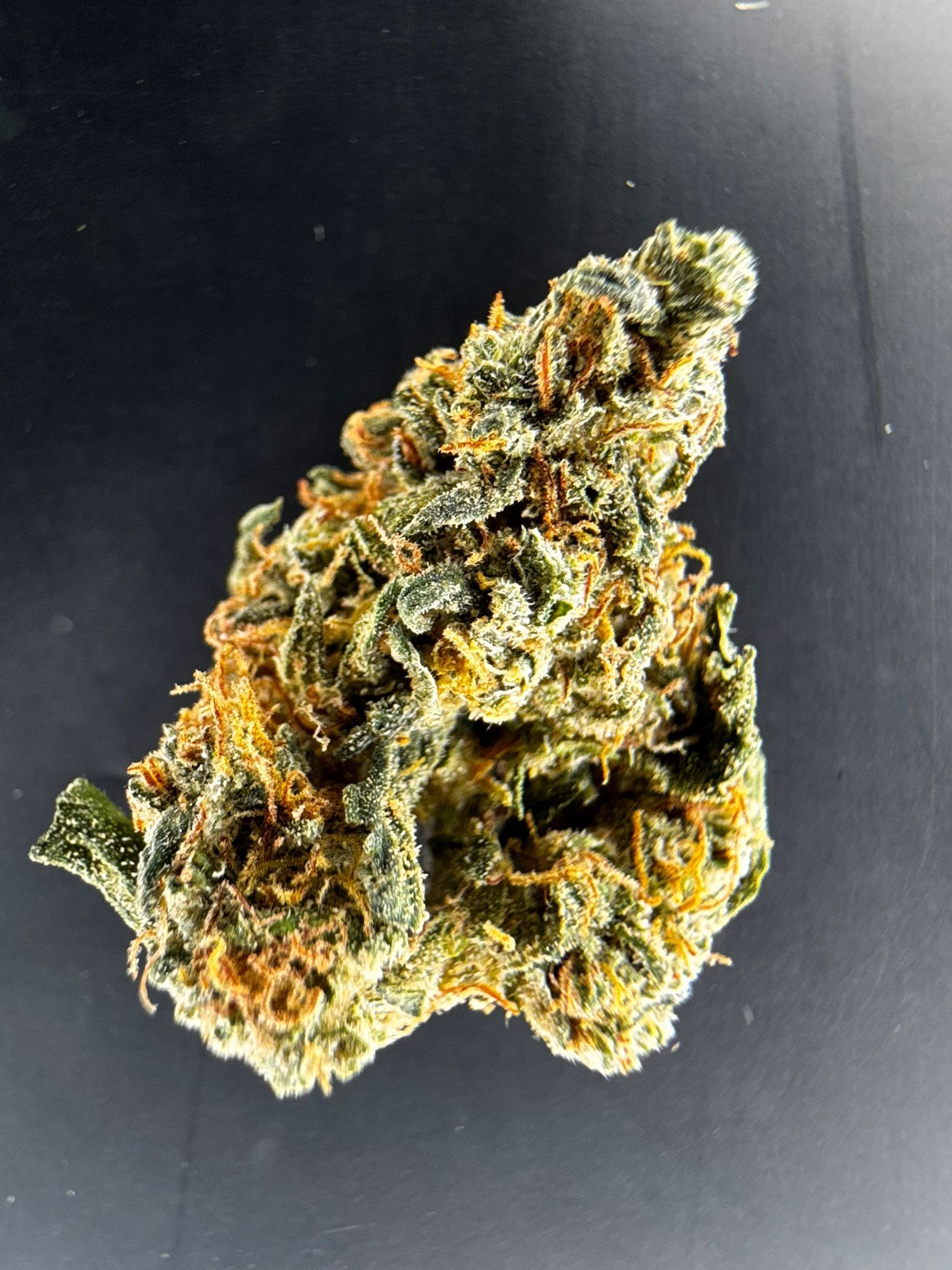 flor mini buds grennhouse
