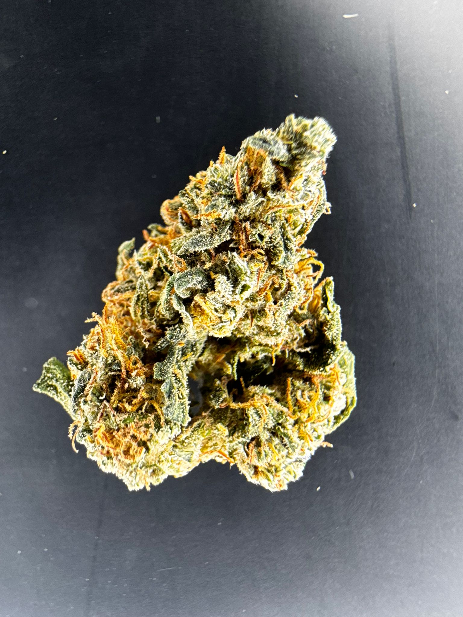 Flor mini buds indoor